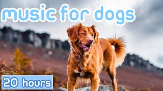 [NO ADS] Dog Music: Hours of Separation Anxiety Music to Calm Dogs