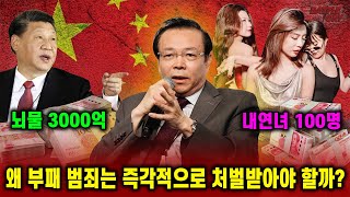 3,000억 뇌물에…속전속결 사형 집행/살벌해진 중국, 왜?