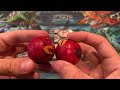 bakugan legends pyrus darkus dragonoid x tretorous unboxing u0026 review