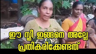 അവന്റെ അമ്മേടെ ആന | ഈ ചേച്ചി ഇങ്ങനെ തന്നെ അല്ലേ പ്രതികരിക്കേണ്ടതും