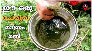 ഈ ഒരു ഇല മതി ചെടികൾ തഴച്ച് വളരാൻ | how to grow plants faster in malayalam | Fast growing plants tips