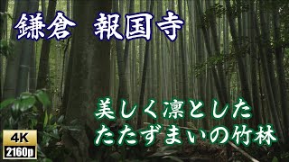 【鎌倉 報国寺】4K動画 竹林が美しい｜ミシュラン・グリーンガイド 三つ星の報国寺｜境内の「竹の庭」が非常に有名なお寺です。東京近郊観光地 4K動画 歴史散策　2021.6.18