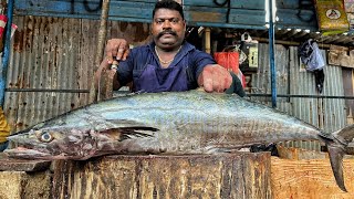 KASIMEDU 🔥 SPEED SELVAM | HUGE KINGE SEER FISH CUTTING VIDEO | 4K VIDEO | KM FISH CUTTING