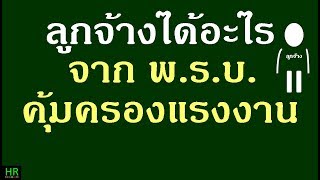 ลูกจ้างได้อะไรจาก พ .ร. บ. คุ้มครองแรงงาน