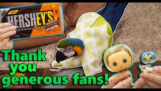 Cheyenne's New Anti-Plucking Collar in the Mail? (Fan Mail Part 14)