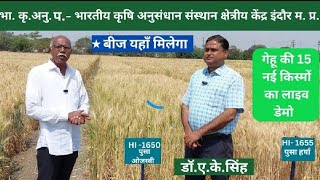 भारतीय कृषि अनुसंधान संस्थान गेहूं की 15 किस्म ।  indian agriculture institude indore