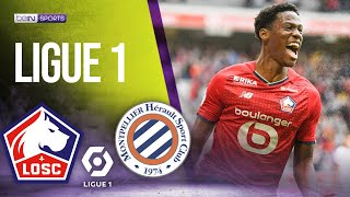 Lille vs Montpellier | LIGUE 1 HIGHLIGHTS | 8/29/21 | beIN SPORTS USA