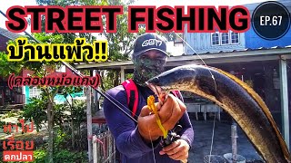 Ep.67 ตกปลาช่อนบ้านแพ้ว #Street fishing#คลองหม้อแกง หลักสาม กับน้าสอง พอได้บันเทิง