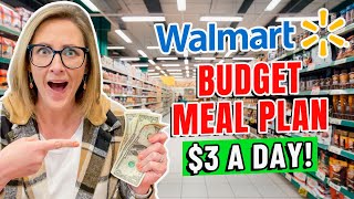 *REALISTIC* BUDGET FAMILY MEAL PLAN $100/WEEK // 2023 Feed a Family on a Budget