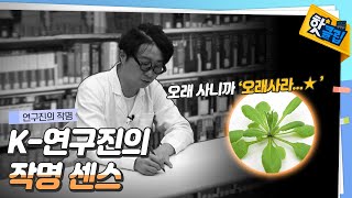 [핫클립] 우리나라 연구진의 기발한 작명 / YTN 사이언스