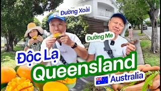 Độc Lạ Queensland Úc | Đường Xoài, Đường Me & Nhà Sưu Tầm Đồ Cổ
