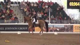 HorseJunkiesUnited.com - Ashley Holzer and Pop Art CDI3 Grand Prix