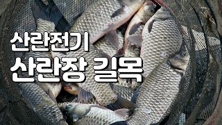 끝보기 붕어낚시, 산란전기에는 산란장 길목을 노려보세요.