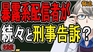 【逮捕案件？】ゆりにゃさんがコレコレさんを刑事告訴した件で誤解している人が多いので実体験をベースに解説する【#かなえ先生】