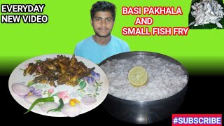 EATING BASI PAKHALA AND CHUNAMACHHA VAJI(SMALL FISH FRY)#bigeatersurya#indianmukbanger