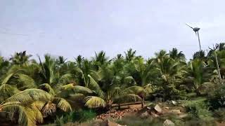 beautiful place of Tamilnadu  [Way to Murugan Temple)