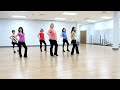 Came To Dance - Line Dance (Dance & Teach in English & 中文)