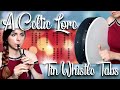 @AdrianvonZiegler  - A Celtic Lore | TIN WHISTLE TABS TUTORIAL