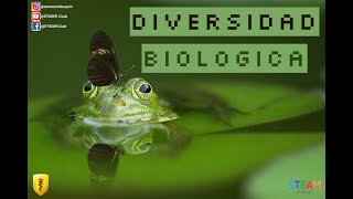 STEAMClub| ¿Qué es la Diversidad Biológica?