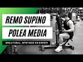 Remo en Polea Media apoyado en Banco (Unilateral) (Supino) - IVOPHYSICAL