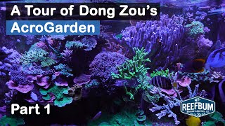 A Tour of Dong Zou's AcroGarden - Part 1