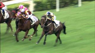 [BMW Hong Kong Derby 2016] BMW Hong Kong Derby 2016 – Special Preview Part 2