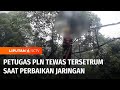 Petugas PLN Tewas Tersetrum Saat Memperbaiki Jaringan Induk di Kabupaten Pesisir Barat | Liputan 6