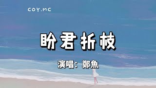 盼君折枝 - 鄭魚『你走後 紅葉落滿袖 青絲變白首』（動態歌詞/Lyrics Video）【盼俊哲枝】