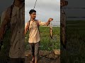 അവസാനം😰🤯💥 awesome sneakhead fishing 🌴💥🔥 trending kerala shorts short fishing