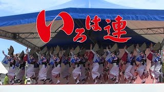 【いろは連】2017.07.29もばら阿波おどり（フェスタ21）