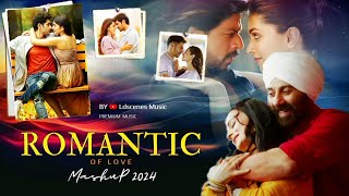 The Romantic Mashup 2024 | Ldscenes Music | Feeling Songs | Bollywood Lofi Songs | Love Mashup 2024