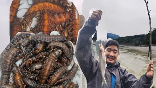 Best Fishing Bait for Rainy Days!/ARUNACHAL PRADESH/#fishing#hook_fishing#adventure