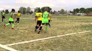 Team platypus u8 las cruces youth soccer