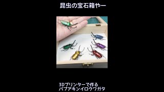 3Dプリンターで作るパプアキンイロクワガタ #Short