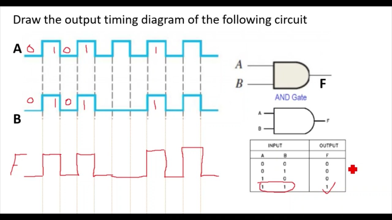 Basic Logic Gate Timing Diagram/ Waveform Of Basic Logic Gate/digital ...