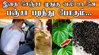 முதுகு வலியால இனி கவலைப்படாதீங்க..இதை மட்டும் செஞ்சுட்டு வாங்க பஞ்சா பறந்து போகும்