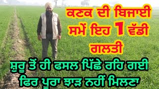 ਕਣਕ ਚ ਬਿਜਾਈ ਸਮੇਂ 1 ਵੱਡੀ ਗਲਤੀ ਦਾ ਨੁਕਸਾਨ ਹੋਵੇਗਾ | A big mistake at wheat sowing may reduce yield