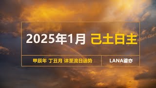 2025年1月 己土日主 甲辰年丁丑月运势 新年新开篇