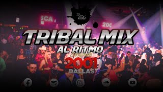 Tribal Mix Al Ritmo de Escapade 2001 (Mix 2023) - Dj Echo