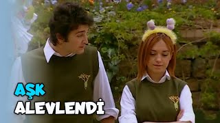 Murat ve Ceren Aşkı Alevlendi - Acemi Cadı Özel Klip