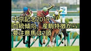 中京記念2019　好走血統、産駒特徴から要注意馬は2頭