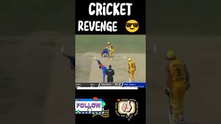 Cricket Superstar Revenge | Six Vs Out |