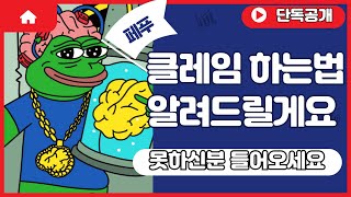 [페페언체인드] 페푸 클레임 못하셨나요? 제가 알려드릴게요