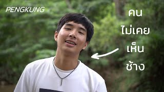 พามาดูช้าง ปางช้างแม่ริม เชียงใหม่ - PENGKUNG