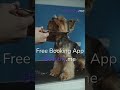 Pet Groomers Free Booking App! #shorts