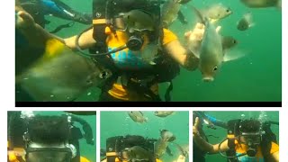 👌scuba diving ಎಲ್ಲರೂ ಒಂದು ಬಾರಿಯಾದರೂ ಹೋಗಬೇಕಾದ ಜಾಗ ನಿಜಕ್ಕೂ ಮೈ ನಡುಗಿಸುವ ಅನುಭವ really wow just amazing