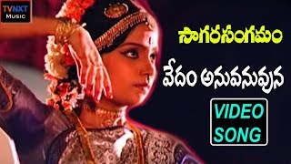 Sagara Sangamam-Telugu Movie Songs | Vedam Anuvanuvuna Nadam Video Song | TVNXT