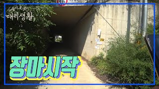 🚗슬기로운 대리생활✅24년7월1일🚩대리브리핑🌧장마시작