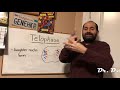 telophase explained