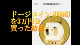 その1　2017年頃にドージコイン(Doge coin)を3万円分買った結果...